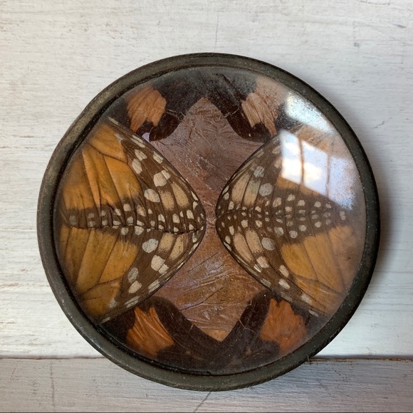 Wings Under Glass from Butterflies A Wee Little Metal Dish Vintage Exotic